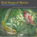 Bird Songs of Mexico CD