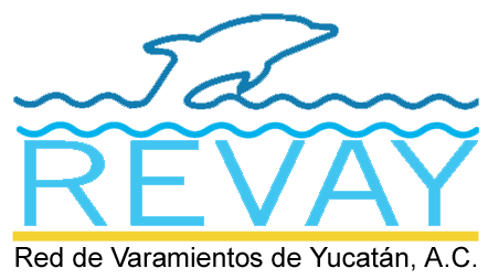 REVAY logo